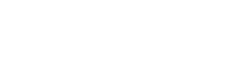 DIVERSE University Alliance